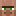 icon_villager.png